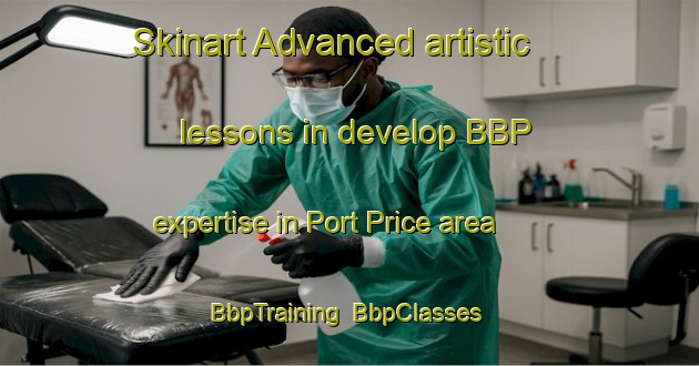 Skinart Advanced artistic lessons in develop BBP expertise in Port Price area | BbpTraining | BbpClasses | SkinartTraining-Australia