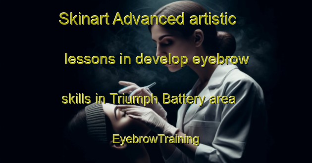Skinart Advanced artistic lessons in develop eyebrow skills in Triumph Battery area | EyebrowTraining | EyebrowClasses | SkinartTraining-Australia
