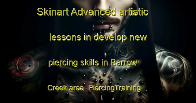 Skinart Advanced artistic lessons in develop new piercing skills in Barrow Creek area | PiercingTraining | PiercingClasses | SkinartTraining-Australia