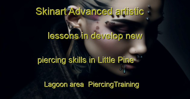 Skinart Advanced artistic lessons in develop new piercing skills in Little Pine Lagoon area | PiercingTraining | PiercingClasses | SkinartTraining-Australia