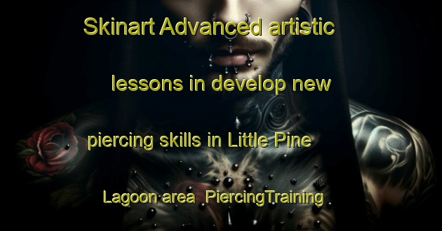 Skinart Advanced artistic lessons in develop new piercing skills in Little Pine Lagoon area | PiercingTraining | PiercingClasses | SkinartTraining-Australia