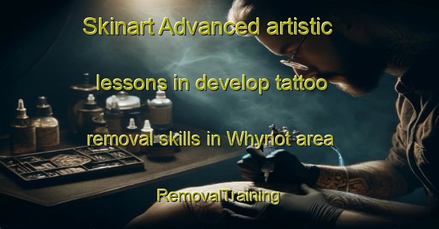 Skinart Advanced artistic lessons in develop tattoo removal skills in Whynot area | RemovalTraining | RemovalClasses | SkinartTraining-Australia