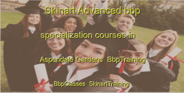 Skinart Advanced bbp specialization courses in Aspendale Gardens | BbpTraining | BbpClasses | SkinartTraining-Australia