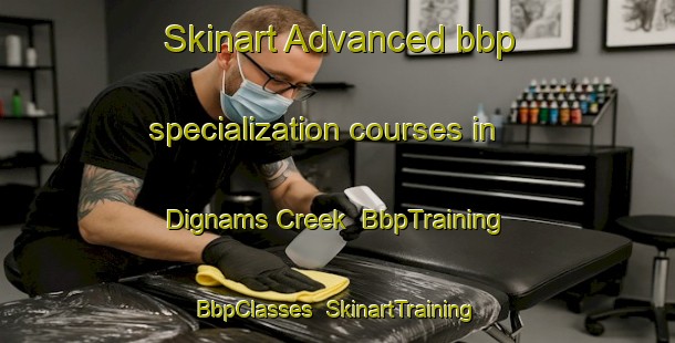 Skinart Advanced bbp specialization courses in Dignams Creek | BbpTraining | BbpClasses | SkinartTraining-Australia