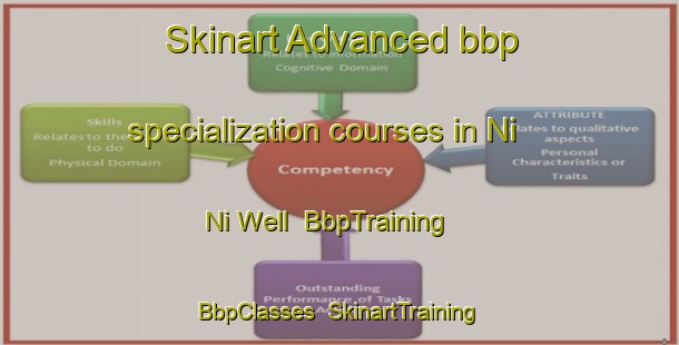 Skinart Advanced bbp specialization courses in Ni Ni Well | BbpTraining | BbpClasses | SkinartTraining-Australia