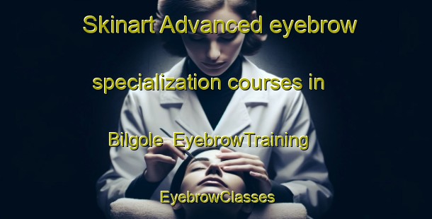 Skinart Advanced eyebrow specialization courses in Bilgole | EyebrowTraining | EyebrowClasses | SkinartTraining-Australia