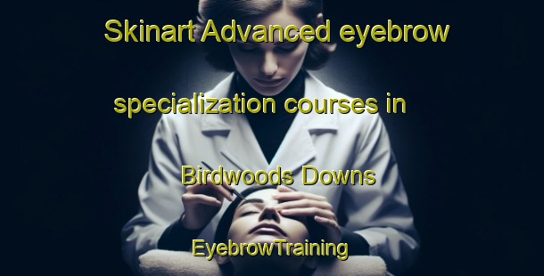 Skinart Advanced eyebrow specialization courses in Birdwoods Downs | EyebrowTraining | EyebrowClasses | SkinartTraining-Australia