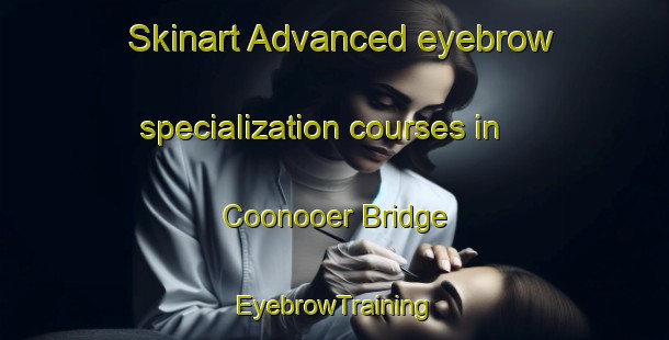 Skinart Advanced eyebrow specialization courses in Coonooer Bridge | EyebrowTraining | EyebrowClasses | SkinartTraining-Australia