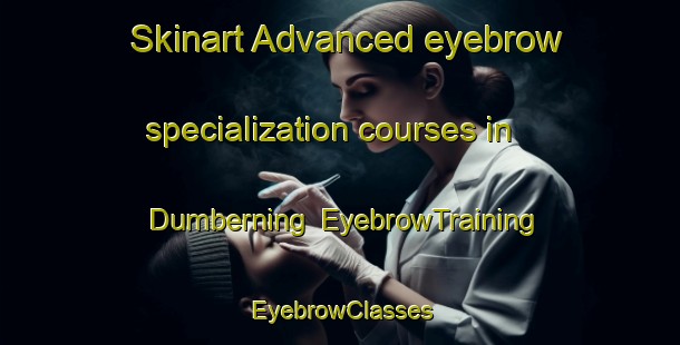 Skinart Advanced eyebrow specialization courses in Dumberning | EyebrowTraining | EyebrowClasses | SkinartTraining-Australia