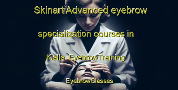 Skinart Advanced eyebrow specialization courses in Kialla | EyebrowTraining | EyebrowClasses | SkinartTraining-Australia