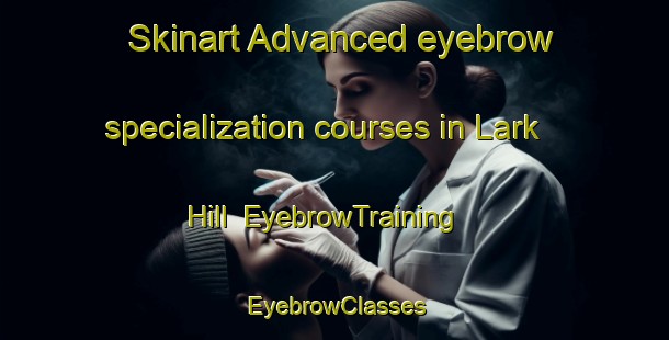 Skinart Advanced eyebrow specialization courses in Lark Hill | EyebrowTraining | EyebrowClasses | SkinartTraining-Australia