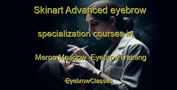 Skinart Advanced eyebrow specialization courses in Meroo Meadow | EyebrowTraining | EyebrowClasses | SkinartTraining-Australia