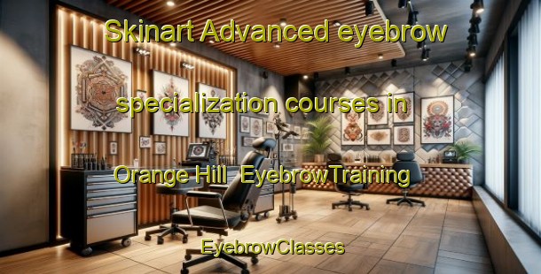 Skinart Advanced eyebrow specialization courses in Orange Hill | EyebrowTraining | EyebrowClasses | SkinartTraining-Australia