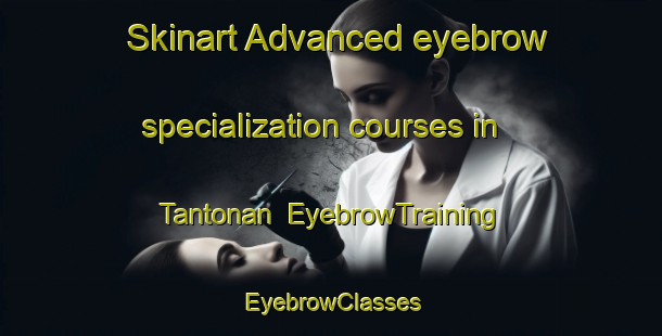 Skinart Advanced eyebrow specialization courses in Tantonan | EyebrowTraining | EyebrowClasses | SkinartTraining-Australia