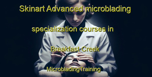 Skinart Advanced microblading specialization courses in Breakfast Creek | MicrobladingTraining | MicrobladingClasses | SkinartTraining-Australia