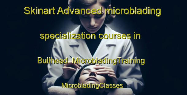 Skinart Advanced microblading specialization courses in Bullhead | MicrobladingTraining | MicrobladingClasses | SkinartTraining-Australia
