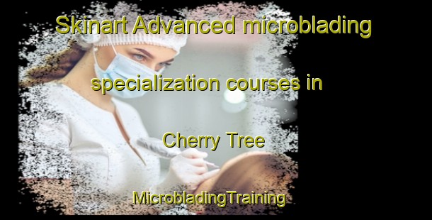 Skinart Advanced microblading specialization courses in Cherry Tree | MicrobladingTraining | MicrobladingClasses | SkinartTraining-Australia