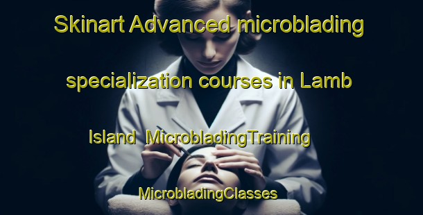 Skinart Advanced microblading specialization courses in Lamb Island | MicrobladingTraining | MicrobladingClasses | SkinartTraining-Australia
