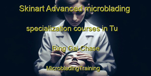Skinart Advanced microblading specialization courses in Tu Ring Gai Chase | MicrobladingTraining | MicrobladingClasses | SkinartTraining-Australia