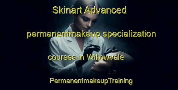 Skinart Advanced permanentmakeup specialization courses in Willowvale | PermanentmakeupTraining | PermanentmakeupClasses | SkinartTraining-Australia