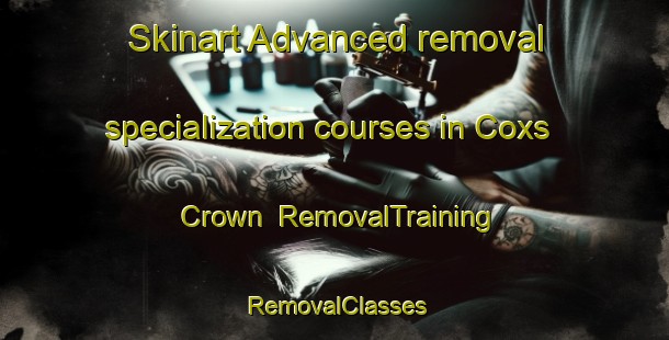 Skinart Advanced removal specialization courses in Coxs Crown | RemovalTraining | RemovalClasses | SkinartTraining-Australia