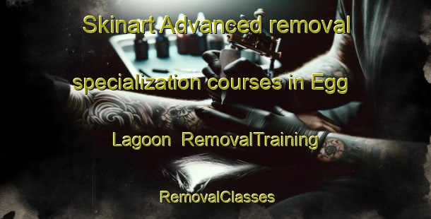 Skinart Advanced removal specialization courses in Egg Lagoon | RemovalTraining | RemovalClasses | SkinartTraining-Australia
