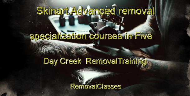 Skinart Advanced removal specialization courses in Five Day Creek | RemovalTraining | RemovalClasses | SkinartTraining-Australia