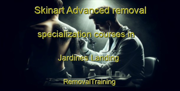 Skinart Advanced removal specialization courses in Jardines Landing | RemovalTraining | RemovalClasses | SkinartTraining-Australia