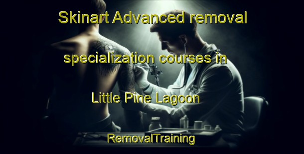 Skinart Advanced removal specialization courses in Little Pine Lagoon | RemovalTraining | RemovalClasses | SkinartTraining-Australia