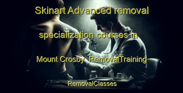 Skinart Advanced removal specialization courses in Mount Crosby | RemovalTraining | RemovalClasses | SkinartTraining-Australia