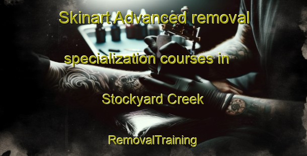 Skinart Advanced removal specialization courses in Stockyard Creek | RemovalTraining | RemovalClasses | SkinartTraining-Australia