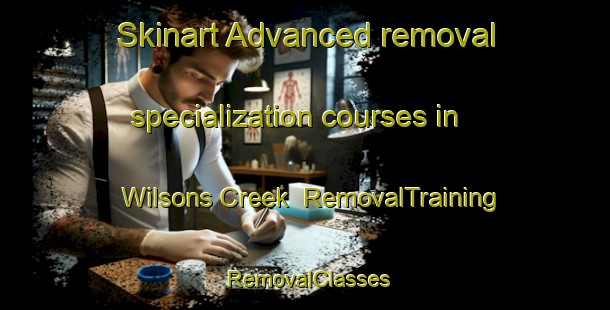 Skinart Advanced removal specialization courses in Wilsons Creek | RemovalTraining | RemovalClasses | SkinartTraining-Australia