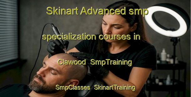 Skinart Advanced smp specialization courses in Ciawood | SmpTraining | SmpClasses | SkinartTraining-Australia