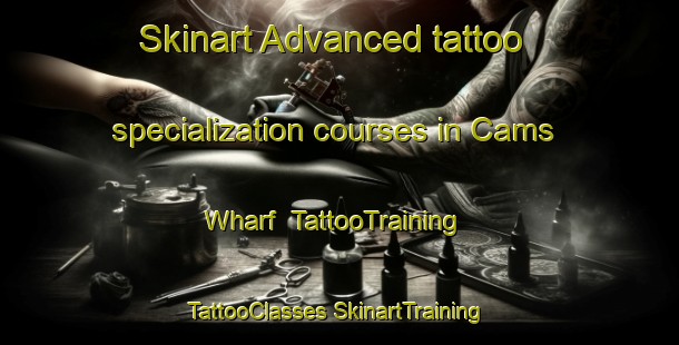 Skinart Advanced tattoo specialization courses in Cams Wharf | #TattooTraining #TattooClasses #SkinartTraining-Australia