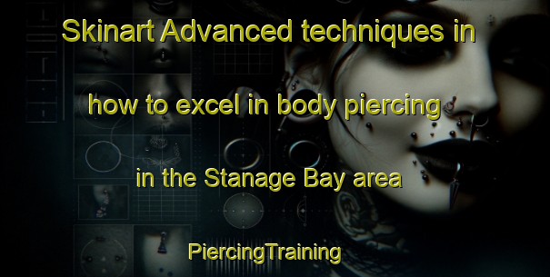 Skinart Advanced techniques in how to excel in body piercing in the Stanage Bay area | PiercingTraining | PiercingClasses | SkinartTraining-Australia