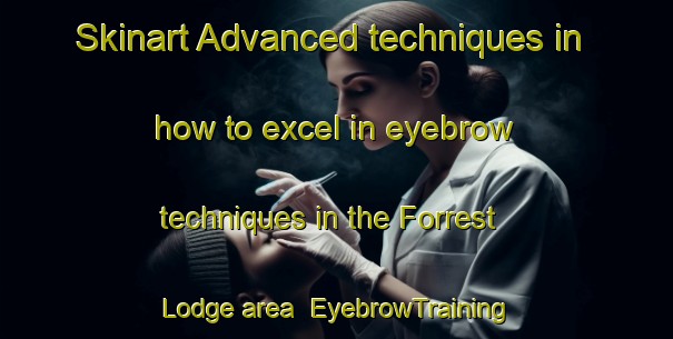 Skinart Advanced techniques in how to excel in eyebrow techniques in the Forrest Lodge area | EyebrowTraining | EyebrowClasses | SkinartTraining-Australia