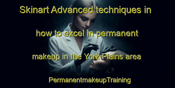 Skinart Advanced techniques in how to excel in permanent makeup in the York Plains area | PermanentmakeupTraining | PermanentmakeupClasses | SkinartTraining-Australia