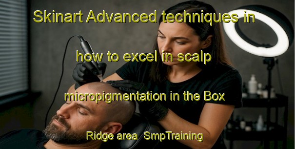 Skinart Advanced techniques in how to excel in scalp micropigmentation in the Box Ridge area | SmpTraining | SmpClasses | SkinartTraining-Australia