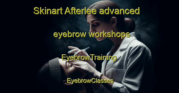 Skinart Afterlee advanced eyebrow workshops | EyebrowTraining | EyebrowClasses | SkinartTraining-Australia