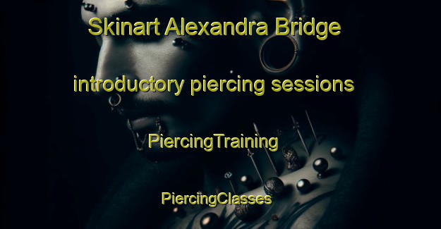 Skinart Alexandra Bridge introductory piercing sessions | PiercingTraining | PiercingClasses | SkinartTraining-Australia