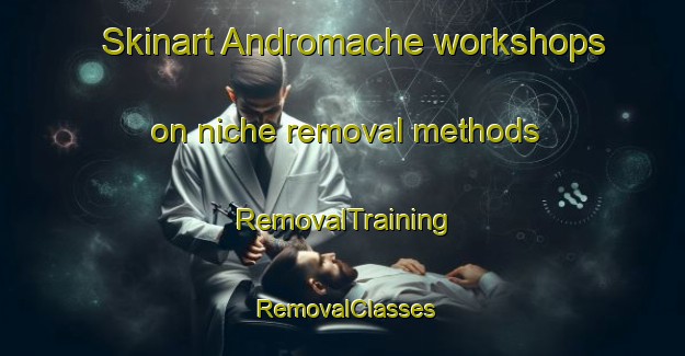 Skinart Andromache workshops on niche removal methods | RemovalTraining | RemovalClasses | SkinartTraining-Australia