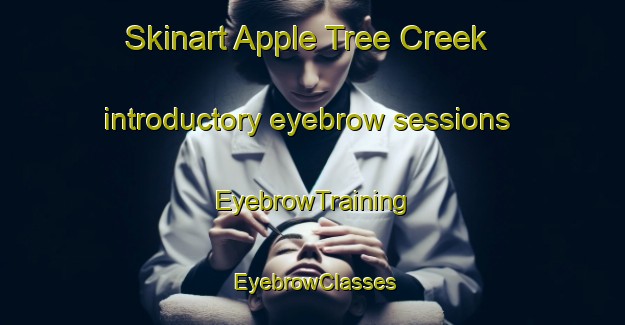 Skinart Apple Tree Creek introductory eyebrow sessions | EyebrowTraining | EyebrowClasses | SkinartTraining-Australia