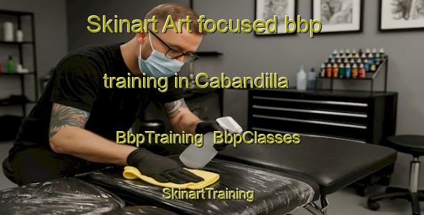 Skinart Art-focused bbp training in Cabandilla | BbpTraining | BbpClasses | SkinartTraining-Australia