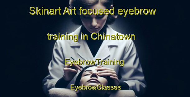 Skinart Art-focused eyebrow training in Chinatown | EyebrowTraining | EyebrowClasses | SkinartTraining-Australia
