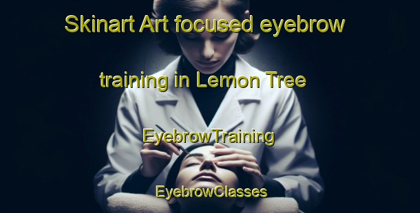 Skinart Art-focused eyebrow training in Lemon Tree | EyebrowTraining | EyebrowClasses | SkinartTraining-Australia