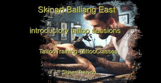 Skinart Balliang East introductory tattoo sessions | #TattooTraining #TattooClasses #SkinartTraining-Australia