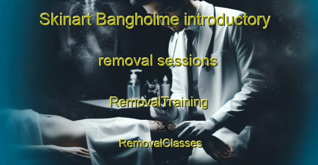 Skinart Bangholme introductory removal sessions | RemovalTraining | RemovalClasses | SkinartTraining-Australia