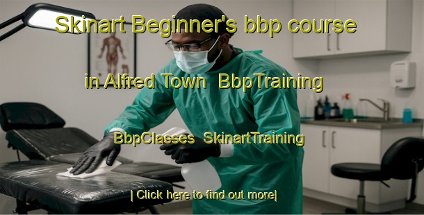 Skinart Beginner's bbp course in Alfred Town | BbpTraining | BbpClasses | SkinartTraining-Australia