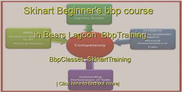 Skinart Beginner's bbp course in Bears Lagoon | BbpTraining | BbpClasses | SkinartTraining-Australia
