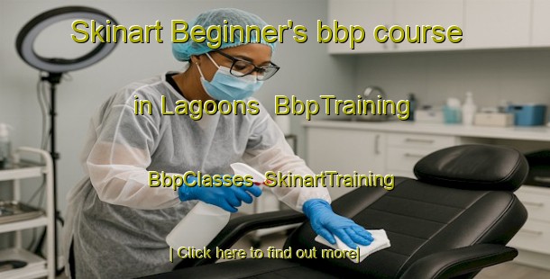 Skinart Beginner's bbp course in Lagoons | BbpTraining | BbpClasses | SkinartTraining-Australia